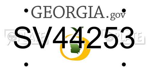 SV44253 Georgia License Plate