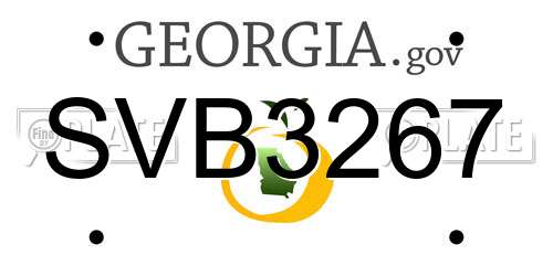 SVB3267 Georgia License Plate
