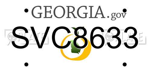 SVC8633 Georgia License Plate