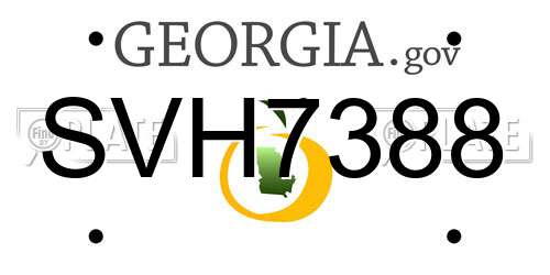 SVH7388 Georgia License Plate