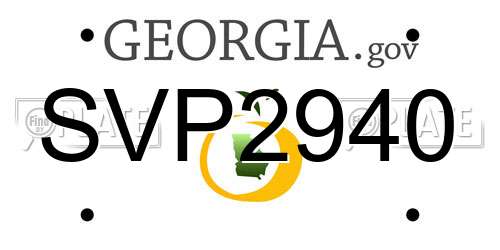SVP2940 Georgia License Plate