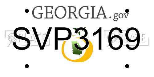 SVP3169 Georgia License Plate