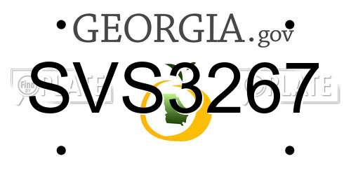 SVS3267 Georgia License Plate