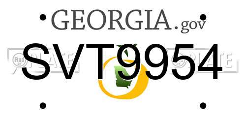 SVT9954 Georgia License Plate