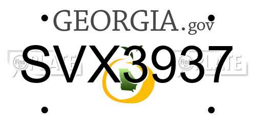 SVX3937 Georgia License Plate