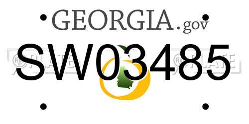 SW03485 Georgia License Plate