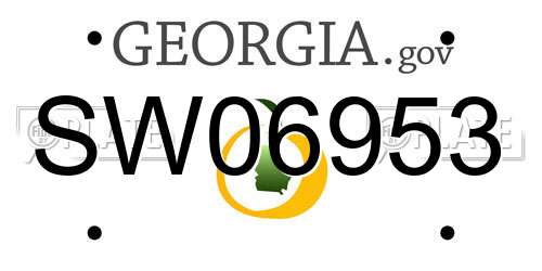 SW06953 Georgia License Plate