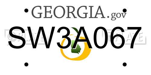 SW3A067 Georgia License Plate