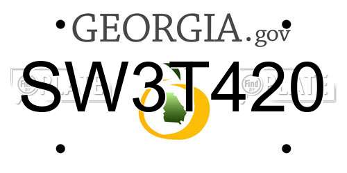 SW3T420 Georgia License Plate