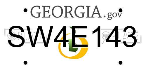 SW4E143 Georgia License Plate