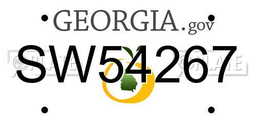 SW54267 Georgia License Plate