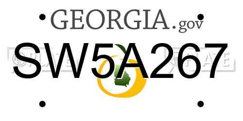 SW5A267 Georgia License Plate