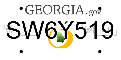 SW6Y519 Georgia License Plate
