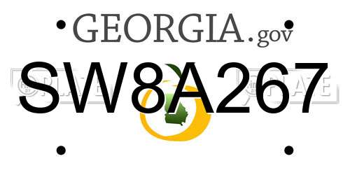 SW8A267 Georgia License Plate