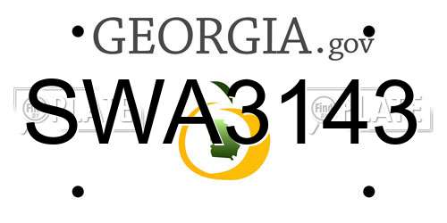 SWA3143 Georgia License Plate