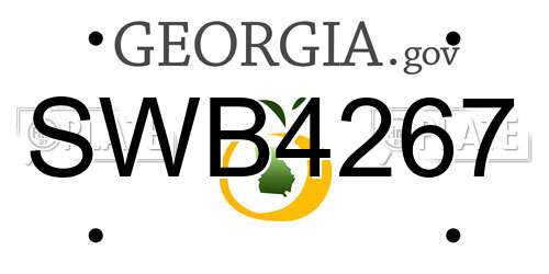 SWB4267 Georgia License Plate