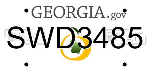 SWD3485 Georgia License Plate
