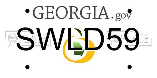 SWLD59 Georgia License Plate