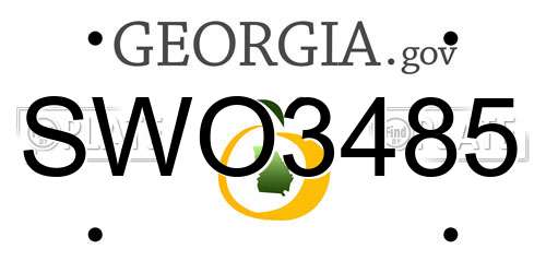 SWO3485 Georgia License Plate