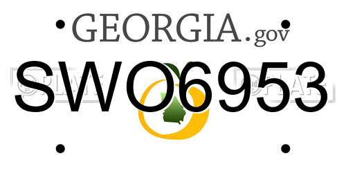 SWO6953 Georgia License Plate