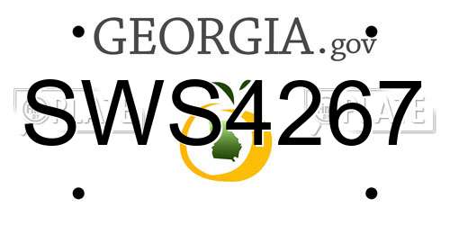 SWS4267 Georgia License Plate
