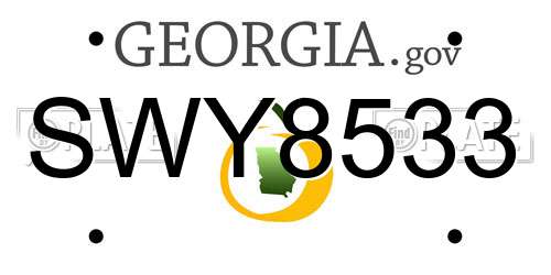 SWY8533 Georgia License Plate