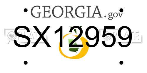 SX12959 Georgia License Plate