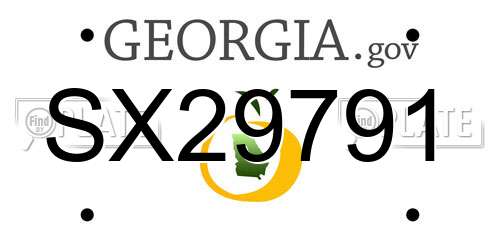 SX29791 Georgia License Plate