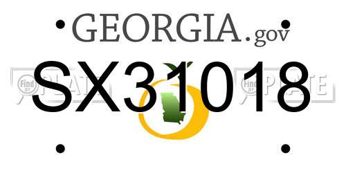 SX31018 Georgia License Plate