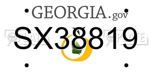 SX38819 Georgia License Plate
