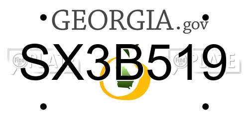 SX3B519 Georgia License Plate