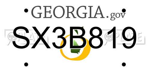 SX3B819 Georgia License Plate