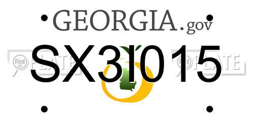 SX3I015 Georgia License Plate