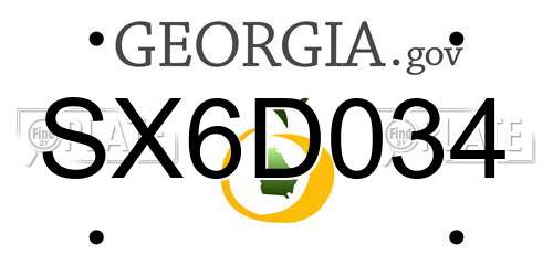 SX6D034 Georgia License Plate