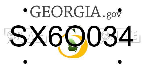 SX6O034 Georgia License Plate