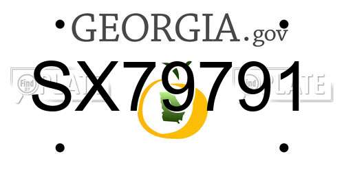 SX79791 Georgia License Plate