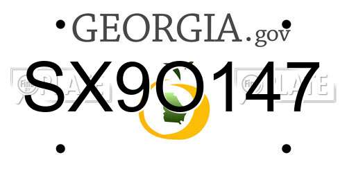 SX9O147 Georgia License Plate
