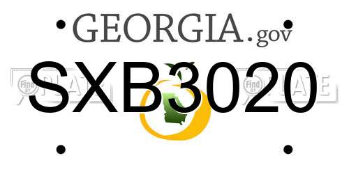 SXB3020 Georgia License Plate