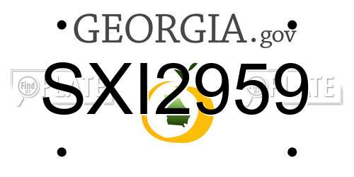 SXI2959 Georgia License Plate