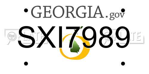 SXI7989 Georgia License Plate