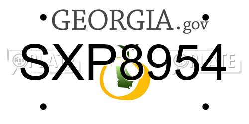 SXP8954 Georgia License Plate