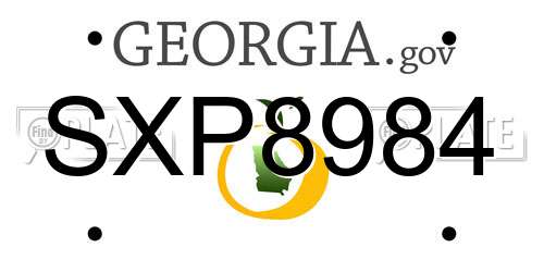 SXP8984 Georgia License Plate