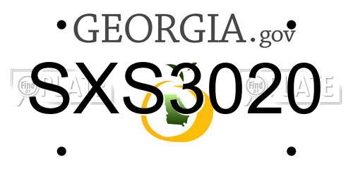 SXS3020 Georgia License Plate