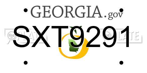 SXT9291 Georgia License Plate