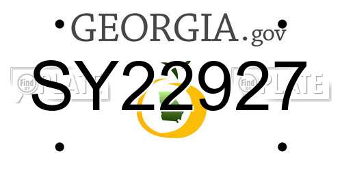 SY22927 Georgia License Plate