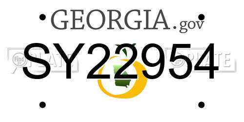 SY22954 Georgia License Plate