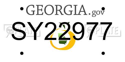 SY22977 Georgia License Plate