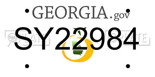 SY22984 Georgia License Plate