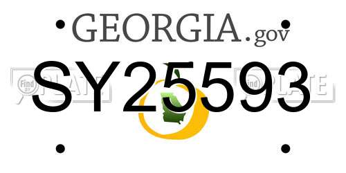 SY25593 Georgia License Plate