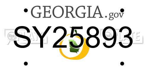 SY25893 Georgia License Plate